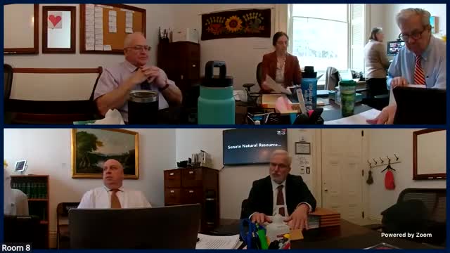 House removes controversial firearm regulations from H 231 amid Second Amendment concerns