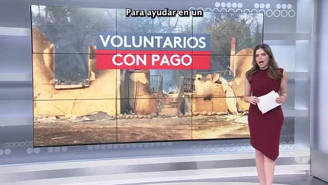 California Service Corps seeks 10000 volunteers for community assistance programs