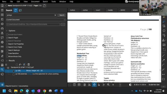 Arbor Commission selects Ginkgo and Kentucky coffee trees for town planting initiative