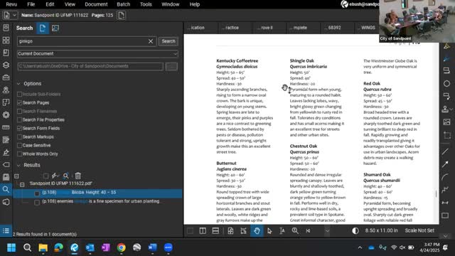 Commission votes to plant larch and ginkgo trees with coffee tree as backup