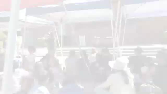 Tiny Tots reptile show brings lizards, snakes and turtles to Recreation Park