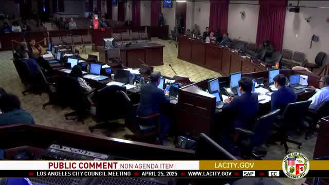 City Council faces backlash over police budget increases amid service cuts