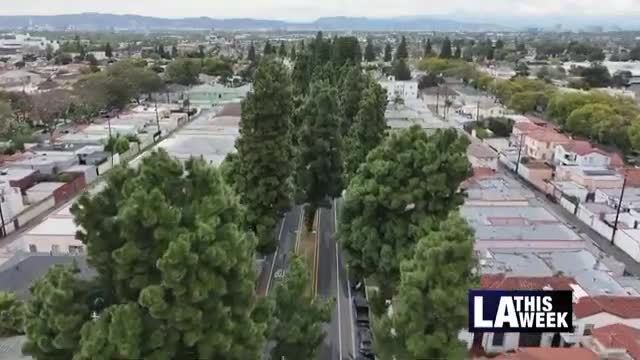 Los Angeles mayor initiates long-term capital infrastructure plan amid recovery progress