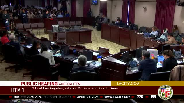 LA City Council faces urgent calls to restore funding for vital community services