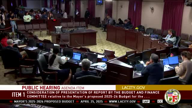 Nerida Ayala advocates $4M funding for Represent LA immigrant rights program