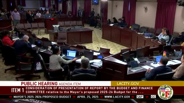 City Council hears public outcry against budget cuts impacting vital community services