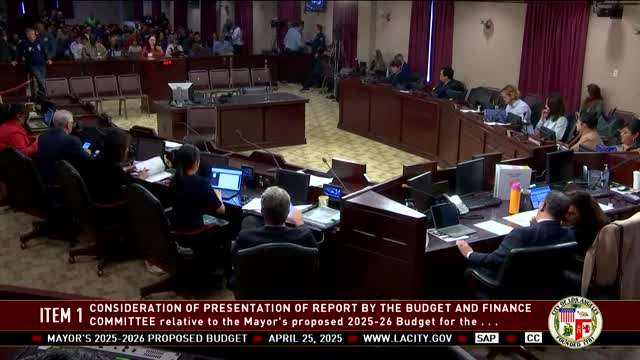 City Council faces budget crisis affecting essential planning and animal welfare services