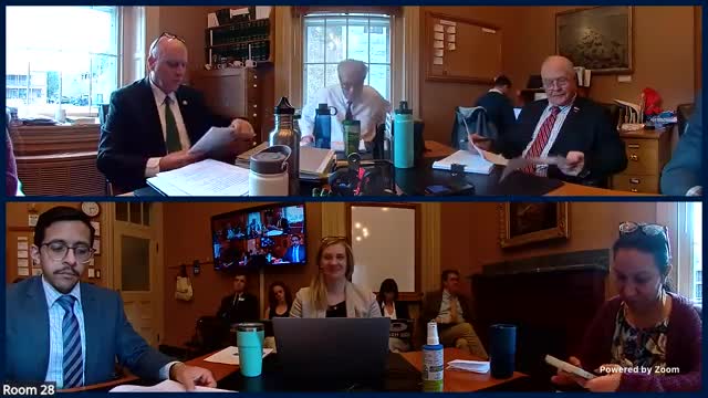 Senate education committee trims "intent" language on district consolidation, debates timeline