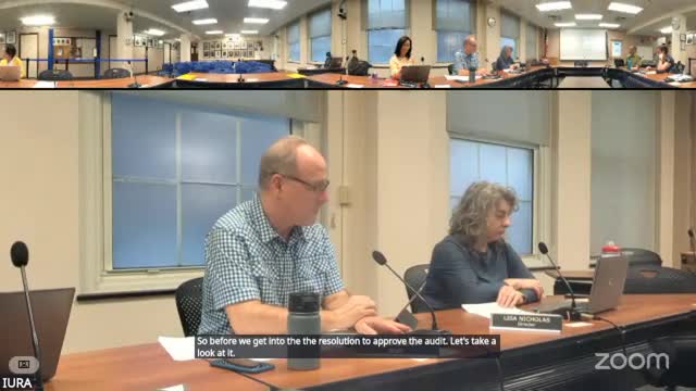 Ithaca redevelopment board approves clean 2024 audit; committee elects Donna Fleming vice chair