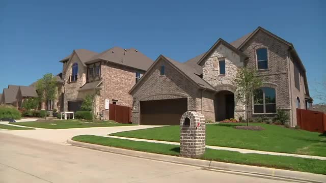 City promotes pet adoption: Apollo, a 2-year-old Newfoundland–Chow mix, available with treatment support; adoption fees reduced through April 30