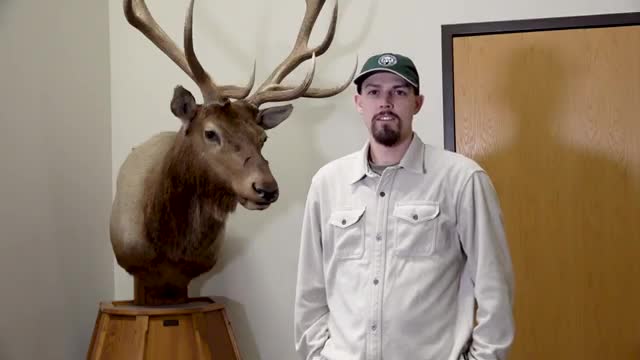 Colorado Parks and Wildlife outlines primary-draw requirements and deadlines for big-game applicants