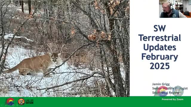 Southwest CPW reports winter helicopter surveys, expanded collaring programs and mountain lion density monitoring