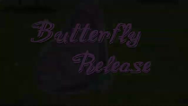 Prescott Valley storytime teaches children about pollinators; kids plant seeds and release painted lady butterflies