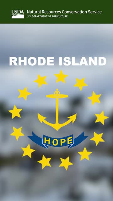 East Providence Mayor Bartossova secures funding for flood-prone property buyouts