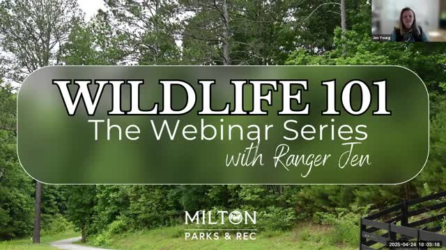 Beavers praised as keystone species in City of Milton Wildlife 101 webinar; engineers point to pond levelers and BDAs to reduce conflict