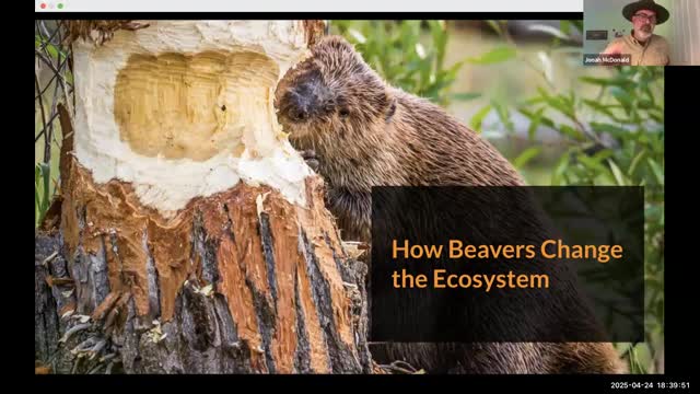 DeKalb County highlights beaver impact on creek ecosystems at Mason Mill Park