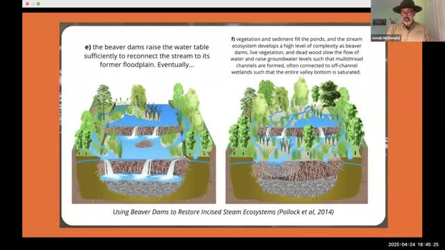 Ranger Jonah showcases Mason Mill Park's biodiversity through beaver-built wetlands video