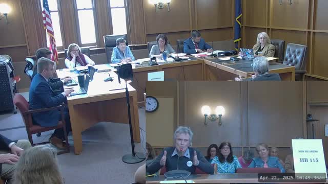 Educators criticize scholarship program for undermining public school funding and accountability