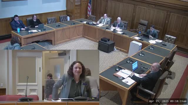 State treasurer outlines debt‑affordability rules and capacity as capital‑bonding talks continue