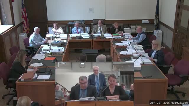 New Hampshire budget faces drastic cuts as arts council funding jeopardized