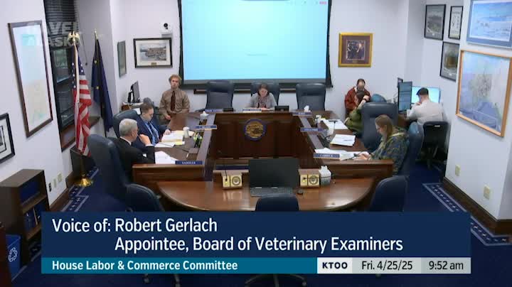Representative Mina presents House Bill 178 addressing medical debt in Alaska