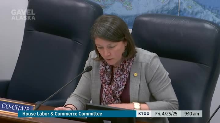 House Labor and Commerce Committee hears more than a dozen gubernatorial nominees for state boards