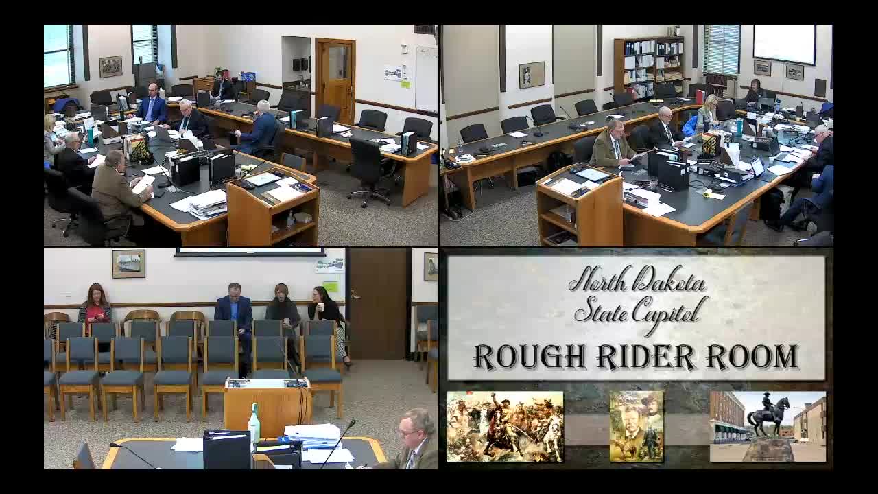 Conference committee debates whether HB1619 should favor renovations or big new long‑term care projects