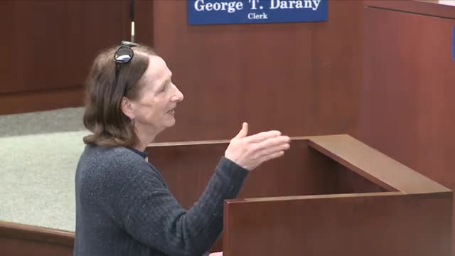 Mary Lane urges Dearborn leaders to address city cleanliness and utility disruptions