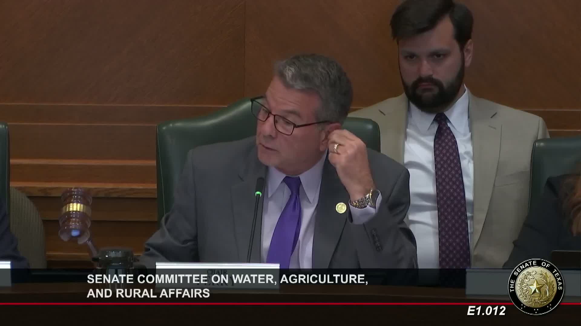 Committee adopts substitute tightening approvals for package wastewater plants near municipal lines