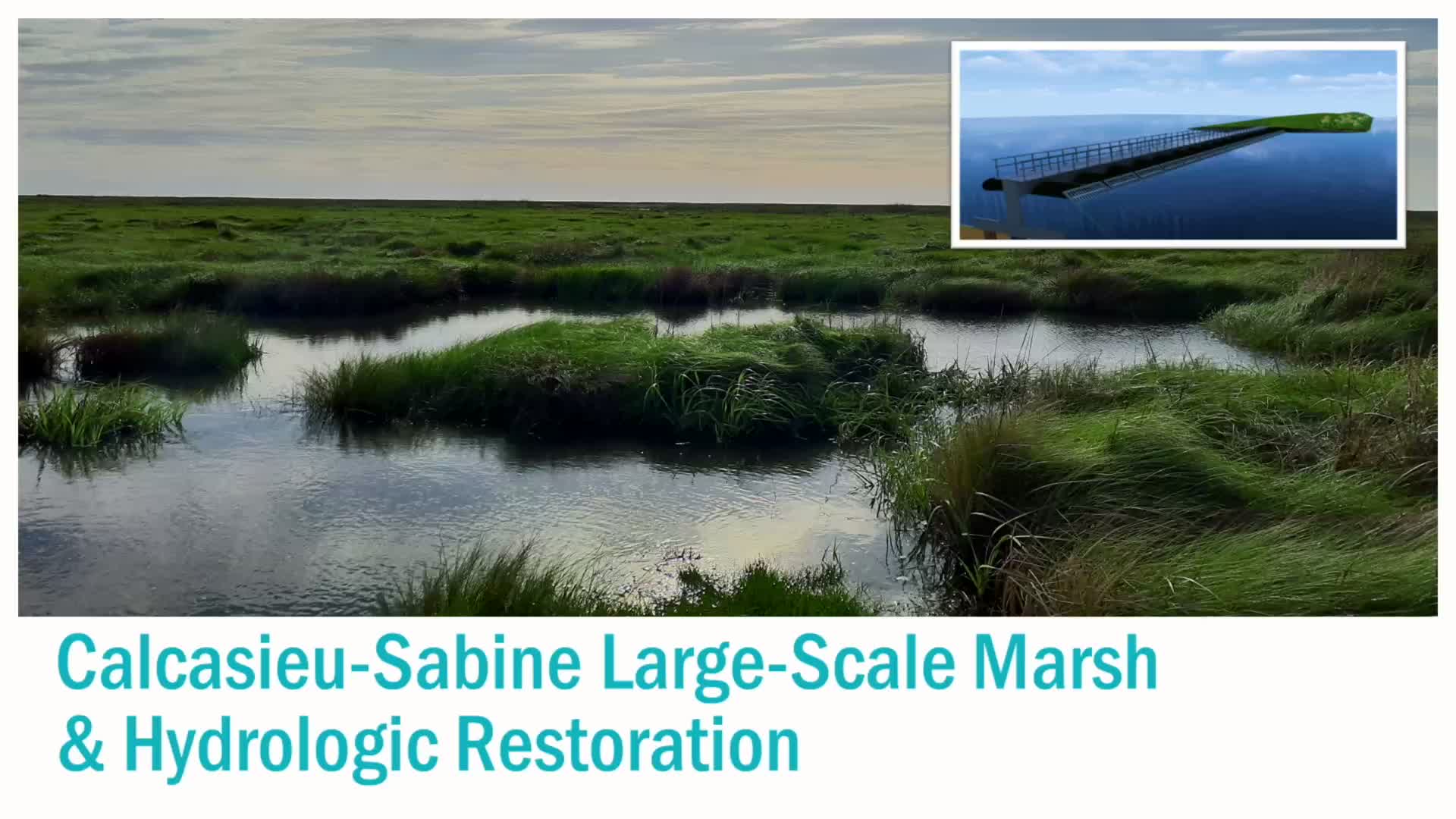 Louisiana partners with Wildlife Department for White Lake restoration and flood protection projects
