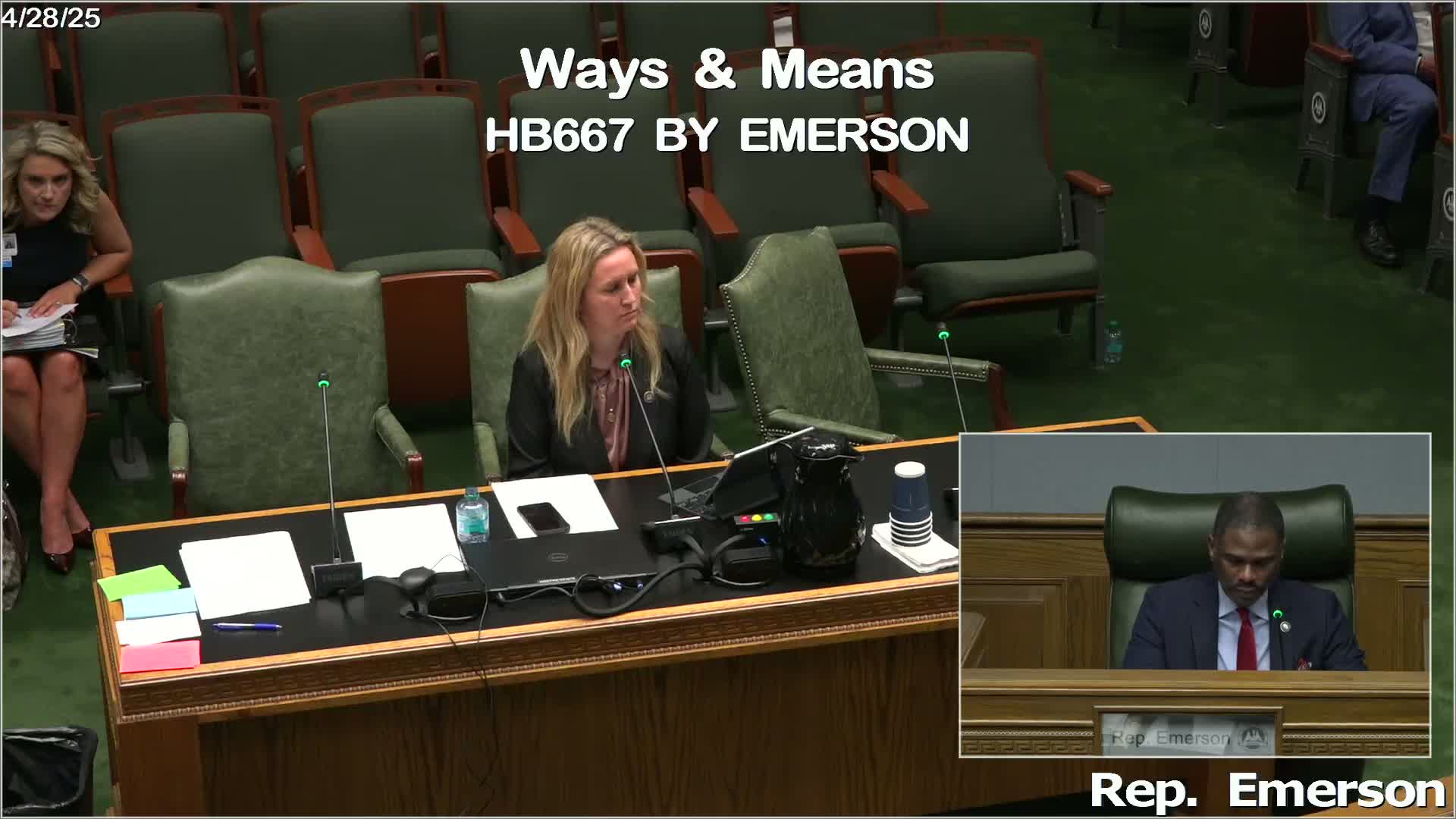 Legislative panel votes on HB 667 amendments amid objections from Representative Willard