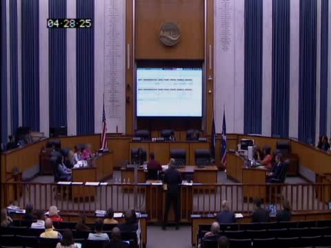 Richmond City Council reallocates $2.2M from Laburnum widening to support community priorities