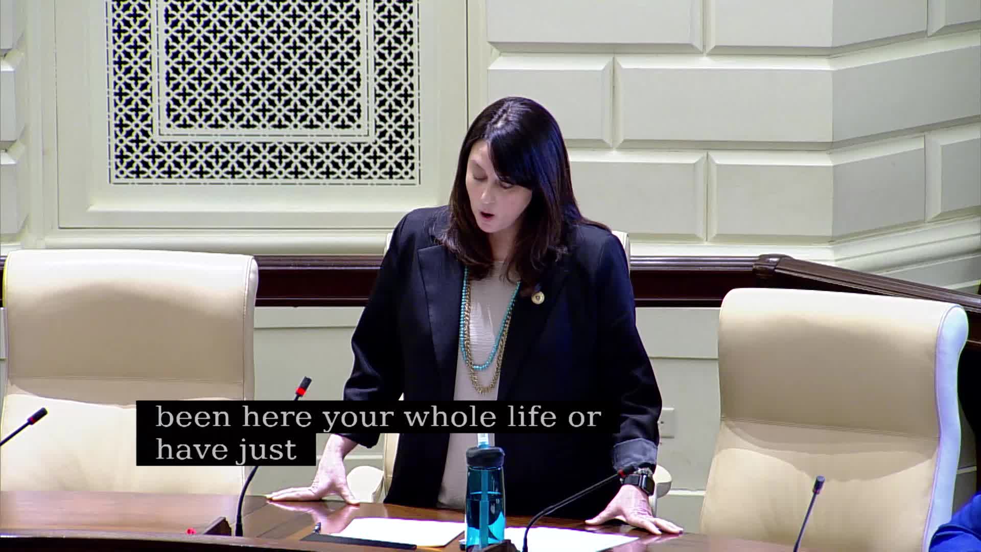 Senator Lewis emphasizes Massachusetts values and immigrant identity during address