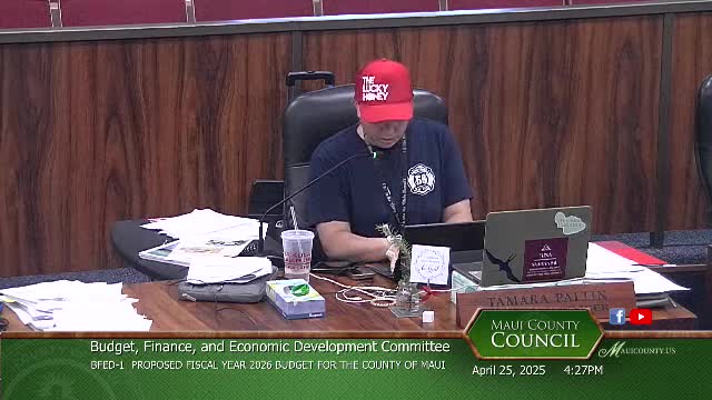 Council members restore funding for fire department and environmental protection grants