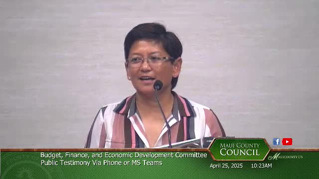 Committee assesses Lapua project and affordable housing solutions for 175 families