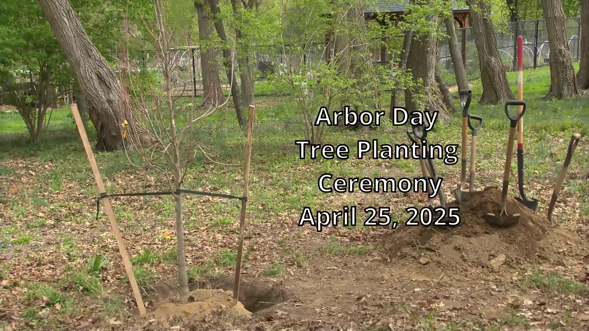 Community celebrates Arbor Day with tree planting event