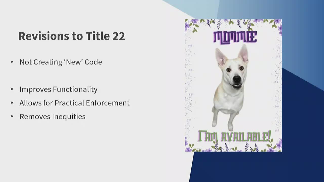 City council revises animal control regulations to improve enforcement and fairness