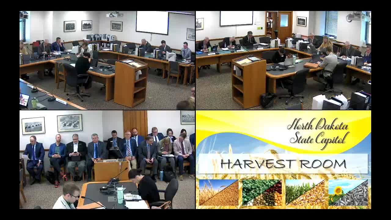 Senate budget committee reallocates $15M for tourism grants and cultural projects