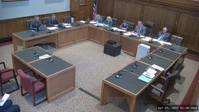 Kaylee Abstradio opposes New Hampshire's HB 514 during Senate Judiciary Committee hearing