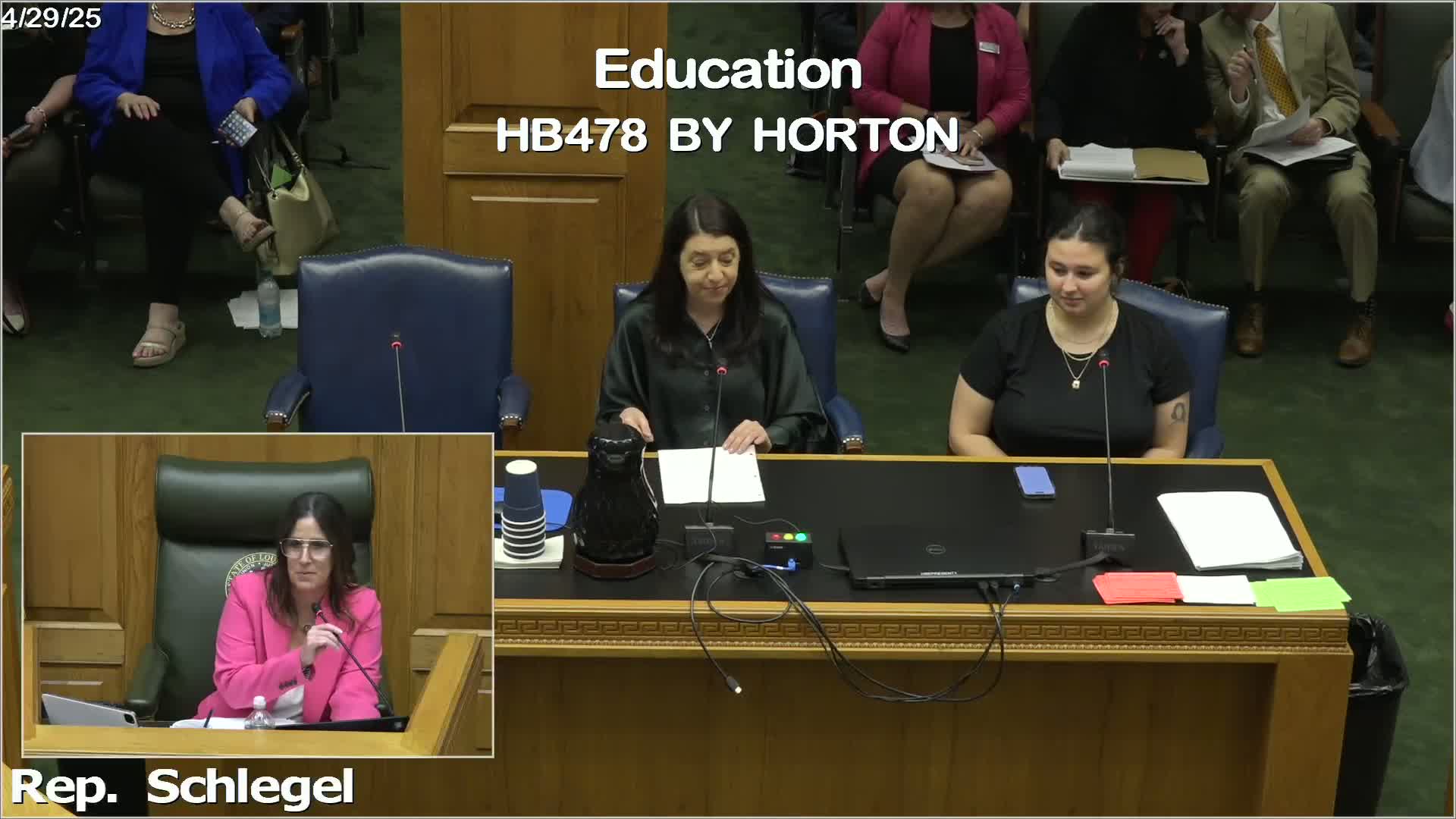 LSU student Lily Sims opposes House Bill 478 for reproductive information concerns
