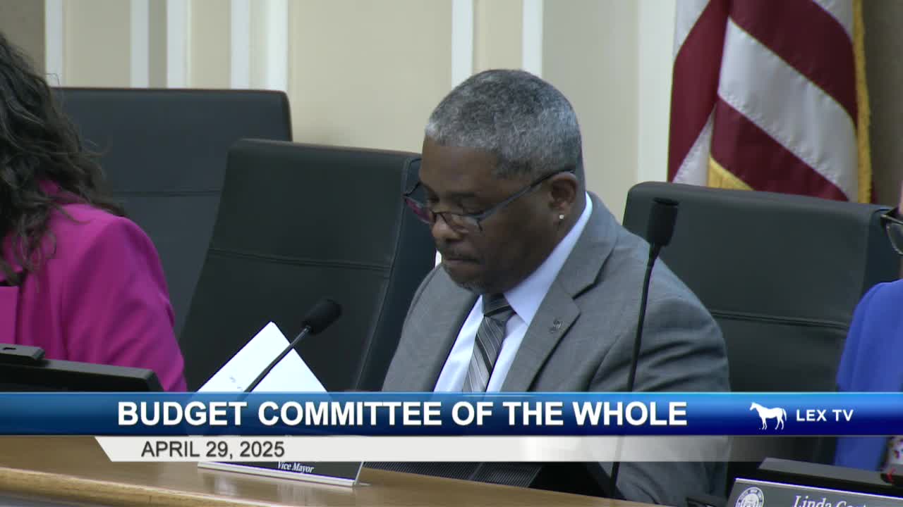 City budget committee reviews $700M in dedicated funds for urban services