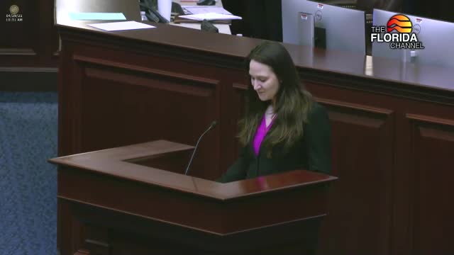 Florida House passes extensive school safety and mental health legislation