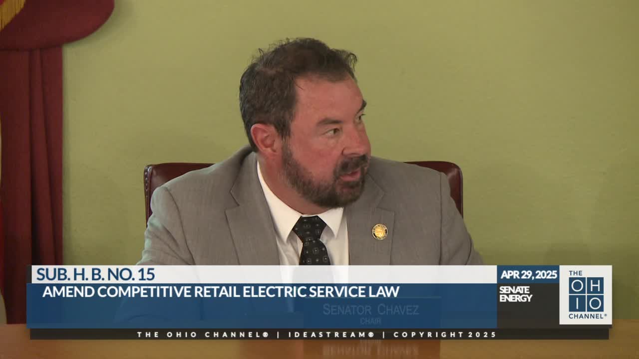 Rebecca Milano advocates for renewable energy in Ohio during Senate Energy Committee hearing