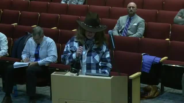 Council member questions Sandy Griffiths' nomination to Recreation Facility Advisory Committee