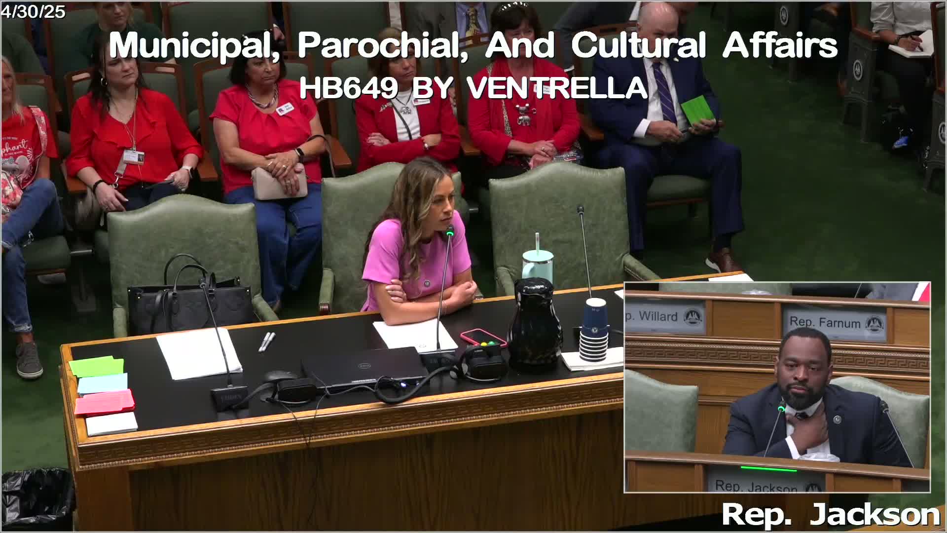 Central City Council supports bill to create independent park system