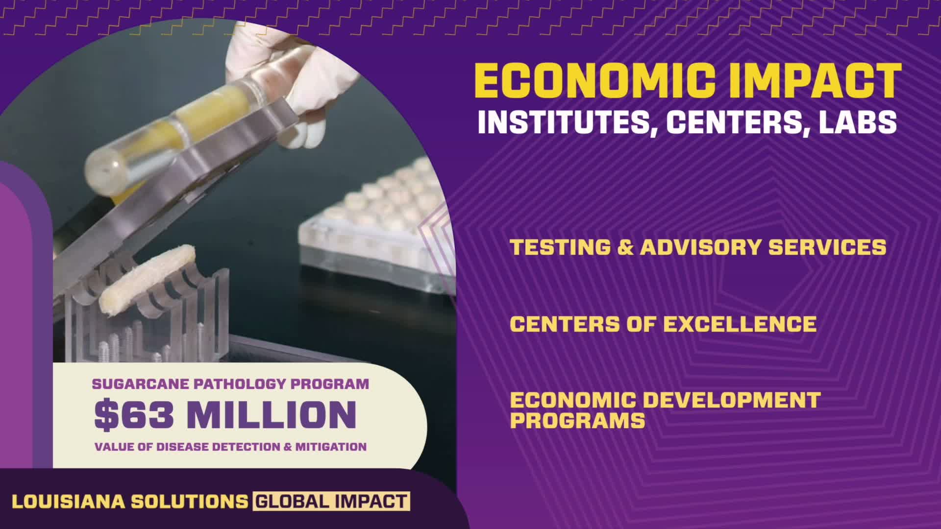 LSU AgCenter showcases innovation in invasive species and youth development programs