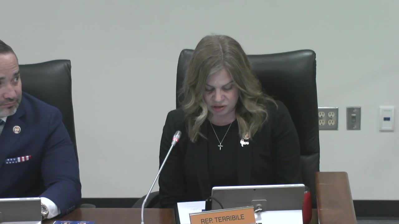 Florida Committee prioritizes Palmetto Math project for 2025 education funding