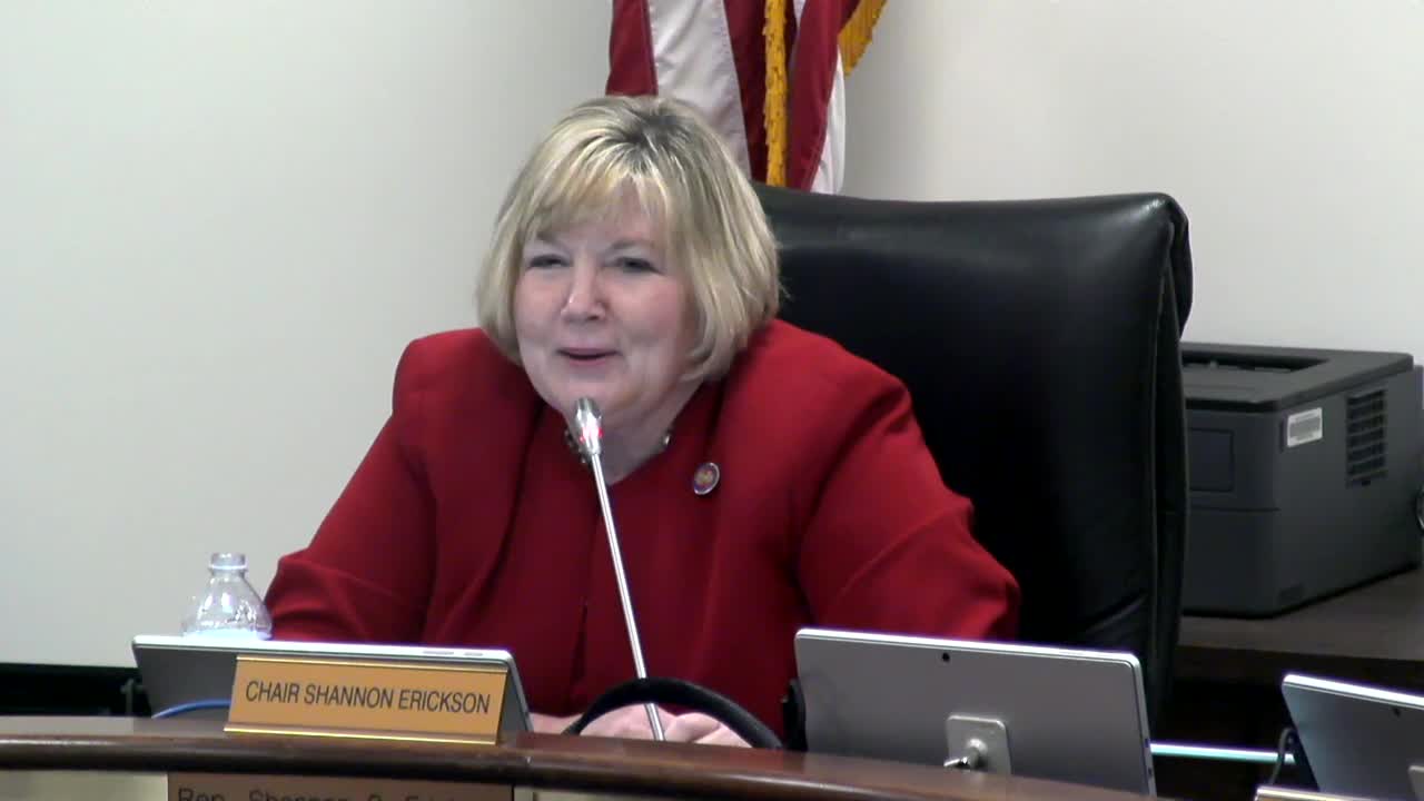 DMV Director Shueido addresses DUI laws and Real ID concerns in committee meeting
