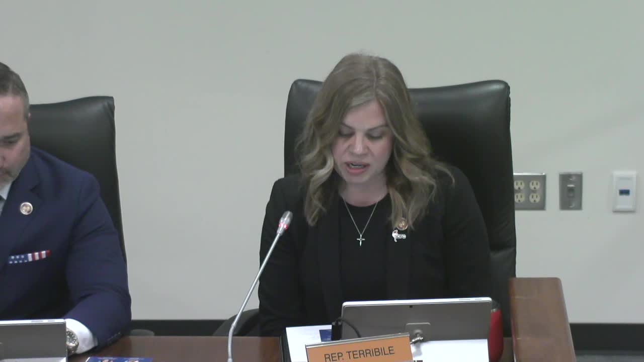 Palmetto Math project prioritized for 2025 amid science of reading successes