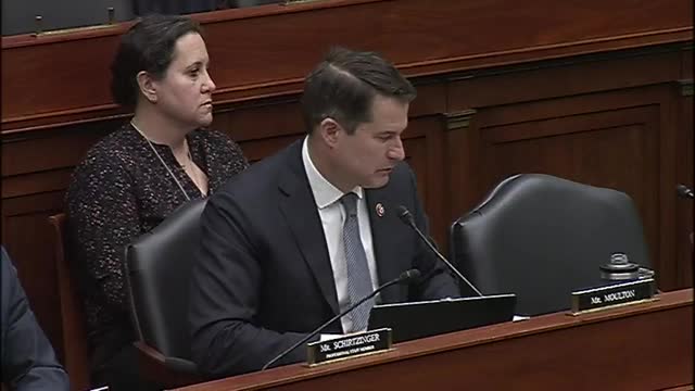 Pentagon officials cite industrial‑base constraints, urge stabilized demand and note international partnerships